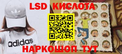 ECSTASY Гатчина