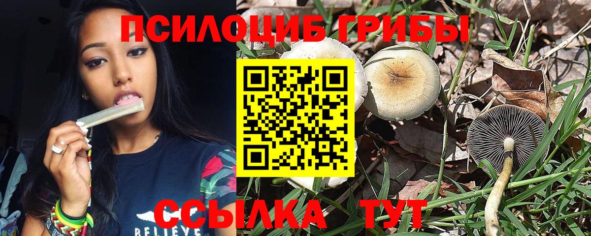 Псилоцибиновые грибы Magic Shrooms Курск