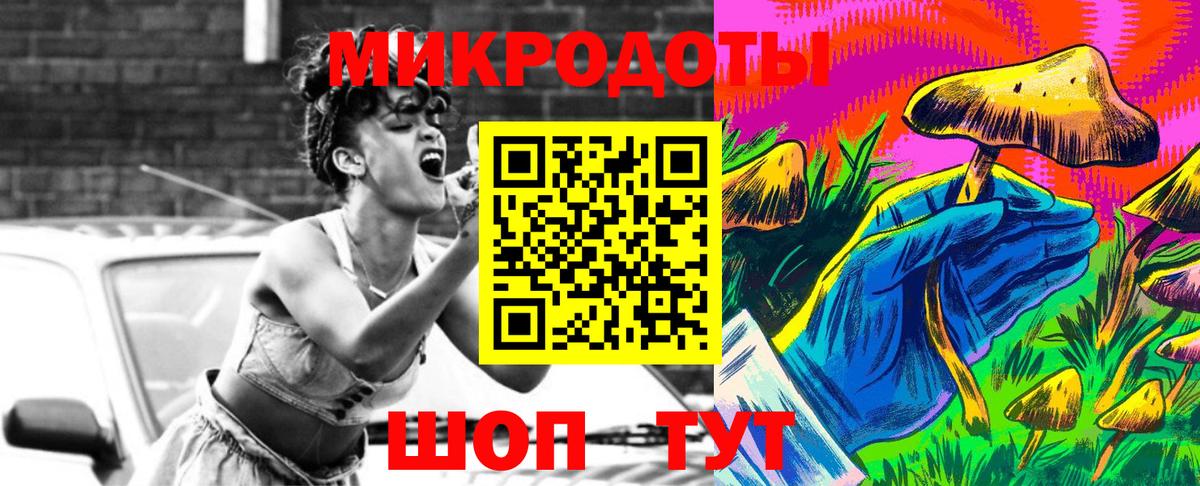 Псилоцибиновые грибы Cubensis  Курск  Псилоцибиновые грибы мухоморы 